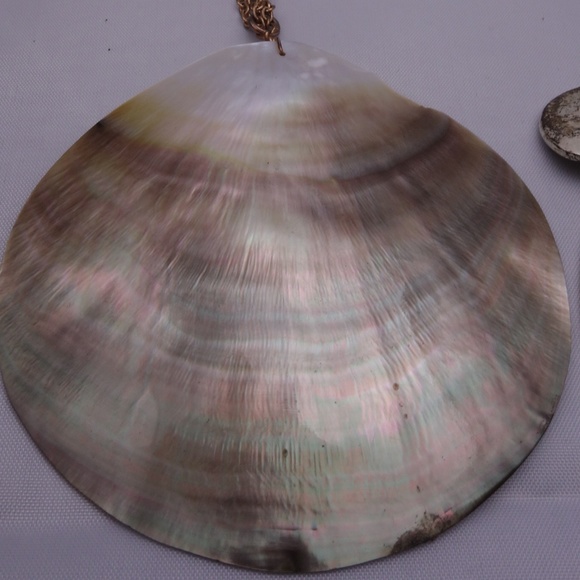 3 Shell Necklaces + 1 Pendant - Picture 4 of 7